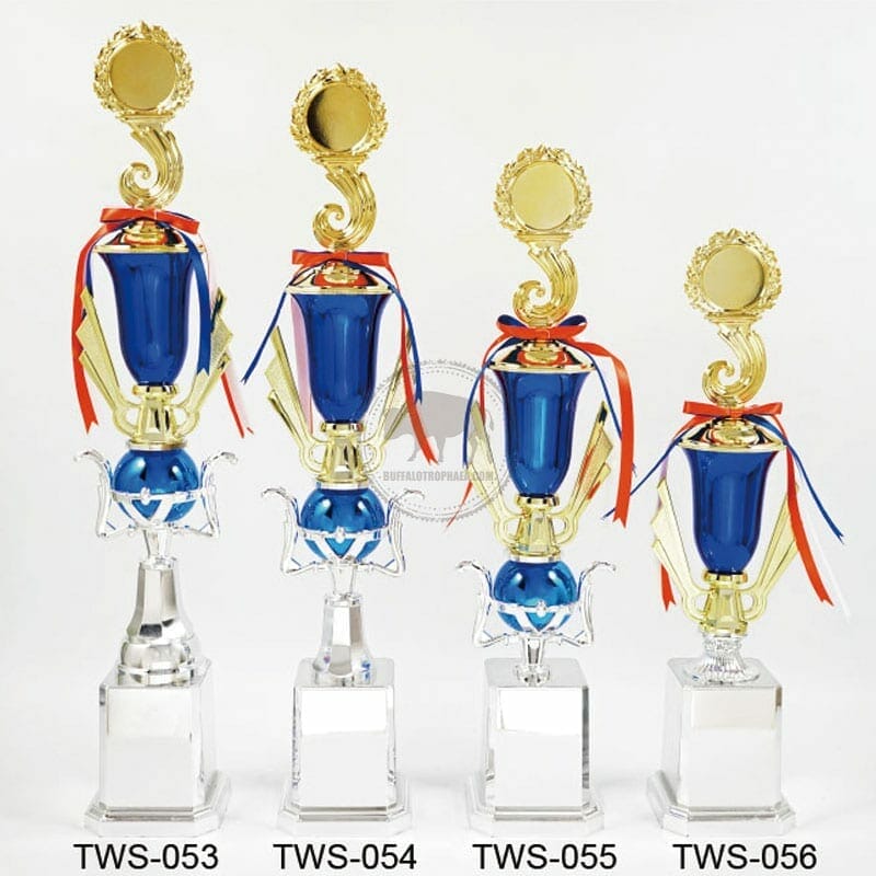 全國獎盃 TWS-053056