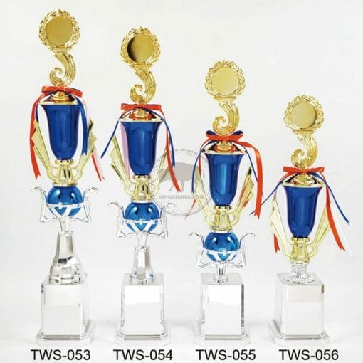 TWS 全國獎盃