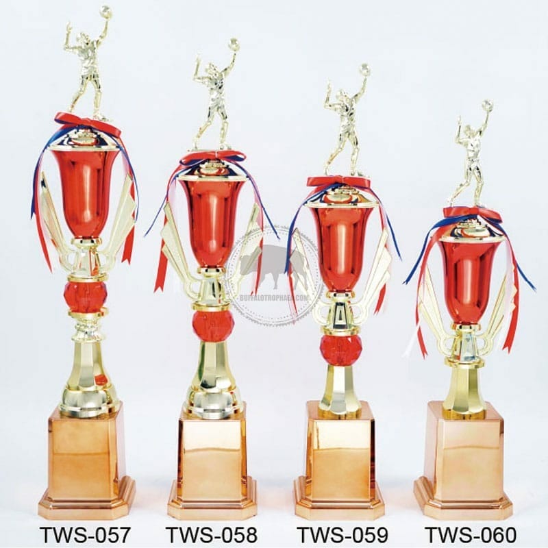 排球獎盃價錢 TWS-057060