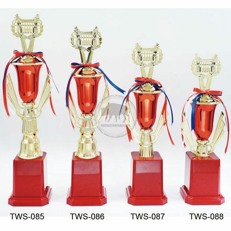 TWS-085088 Abacus Trophies