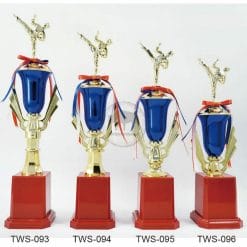 Taekwondo Trophies TWS-093096