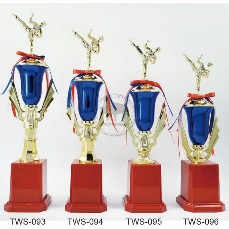 TWS-093096 Taekwondo Trophies