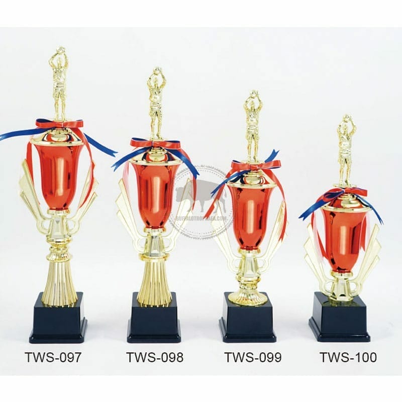 籃球獎杯便宜 TWS-097100