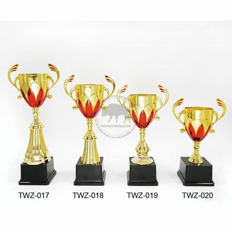Customized Trophies TWZ-017020