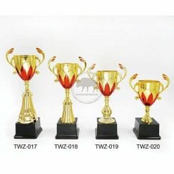 TWZ-017020 Customized Trophies