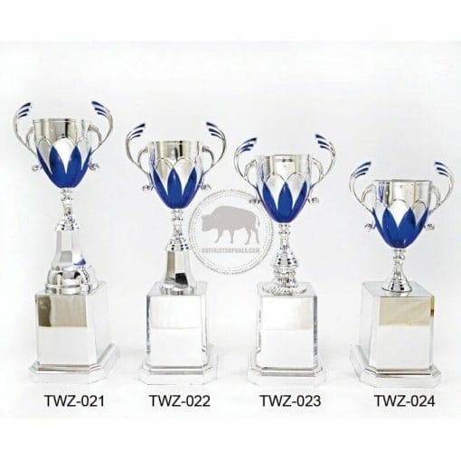 Customized Trophies TWZ-021024