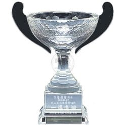 Winner Trophy Crystal Golf Awards