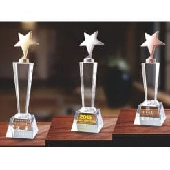 Crystal Awards - Hardworking - Star PG-107