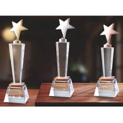 Crystal Awards - Hardworking - Star - Amber PG-136