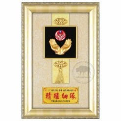 20B23-11 Plaques Fire Fighter
