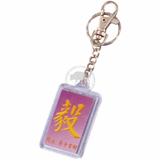 Keychains Gifts XY-L