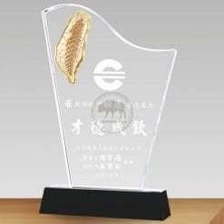 台灣水晶獎盃訂做 PF-007-33