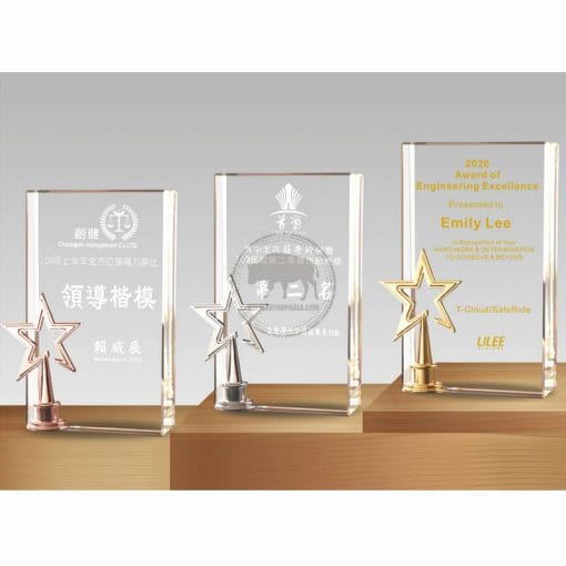 Crystal Plaques - Outstanding Contribution Award - Astral PF-106-2123