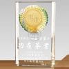 Crystal Plaques - Outstanding Contribution Award - Logo (Gold Foil) PF-106-51