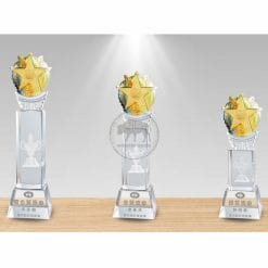 Crystal Awards - Devotion - Shining Star (Gold Foil) PI-088