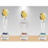 Crystal Awards - Hardworking - Shining Star (Gold Foil) PI-089