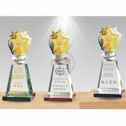 Crystal Awards - Accomplishment - Shining Star (Gold Foil) PI-095-0103