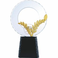 YC-M596-01 Black Crystal Awards - Street Smart + Gold Leaf 1