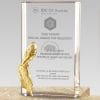 Crystal Plaques - Outstanding Contribution Award - Feather PF-106-24