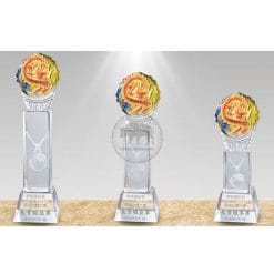Crystal Awards - Have a bright future - Dragon PI-109