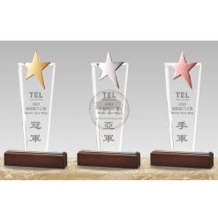 Crystal Plaques - Planting - Star - Wooden Base PK-098-H1