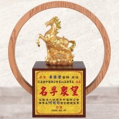 20B104-9-N Trophies Sculpture Trophies - Gold - Win Instant Success - Gold Foil