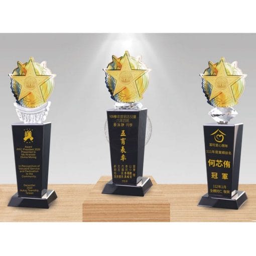 Crystal Awards - Benevolence - Shining Star (Gold Foil) PI-093-0103